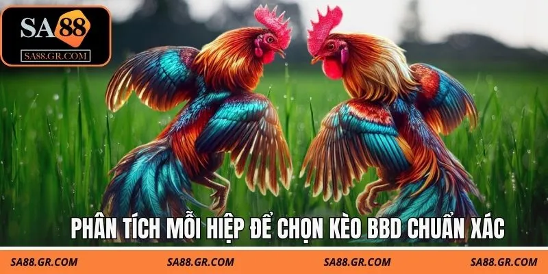 Phân tích mỗi hiệp để chọn kèo BBD chuẩn xác Phân tích mỗi hiệp để chọn kèo BBD chuẩn xác